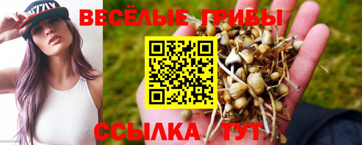 Реутов  Псилоцибиновые грибы Psilocybine cubensis  Вход с VPN 